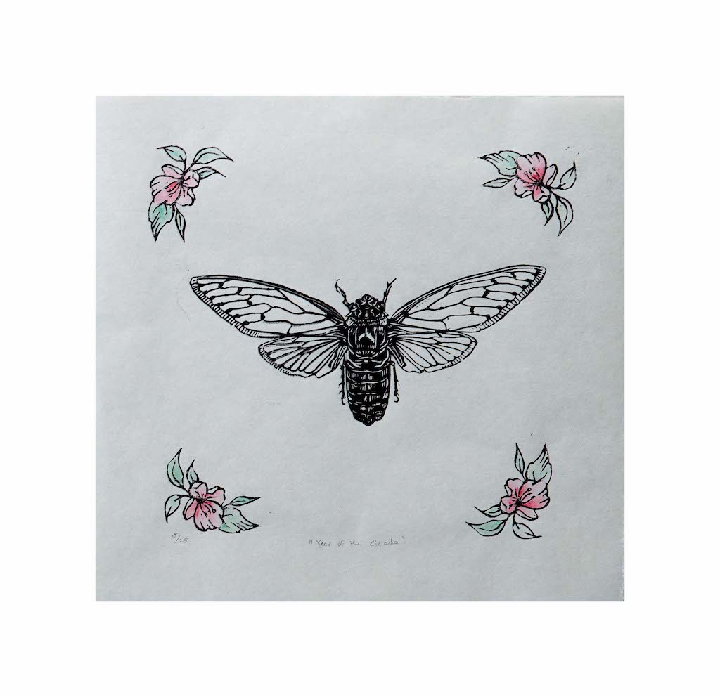 Stephanie Sikma, "Year of the Cicada" Linocut handprinted on Japanese paper with watercolour. 9.5" x 9.5"