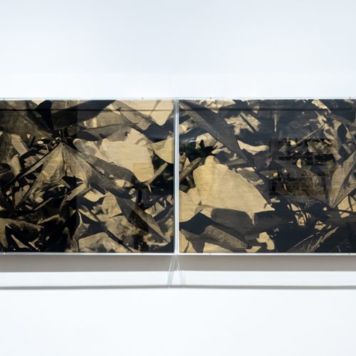 Native Art Department International, Untitled (black and gold diptych)
