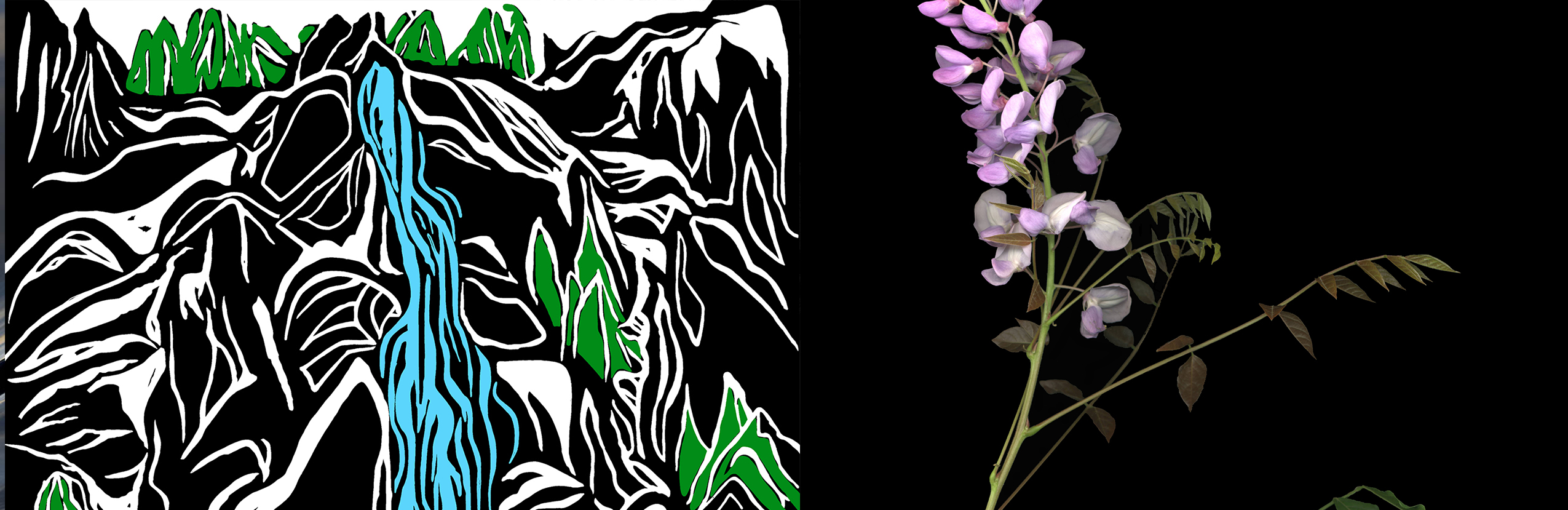 Do What You Like: Explorations in Digital Painting and Herbarium