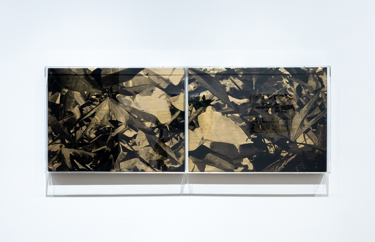 Native Art Department International, Untitled (black and gold diptych)