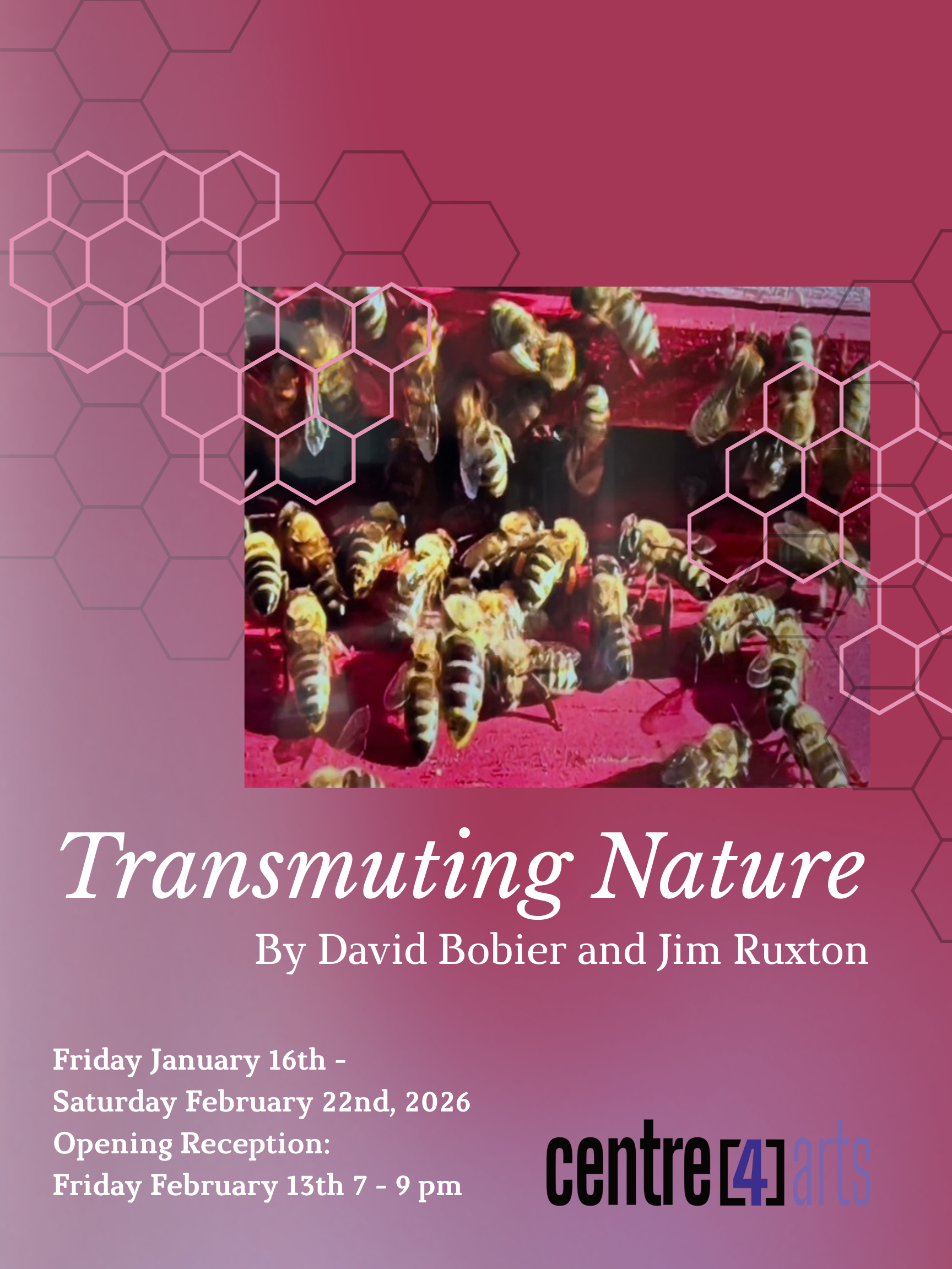 Transmuting Nature exhibition poster