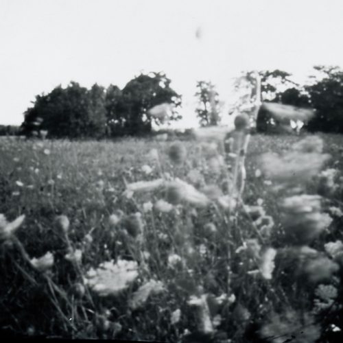 Weeds, Pinhole Photograph on paper