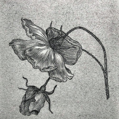 Sintra-Drypoint-Roses