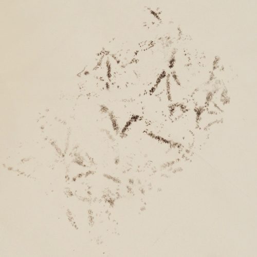 drypoint detail bird cloud